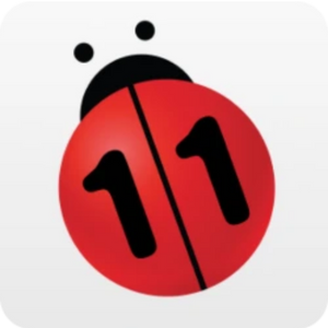 N11